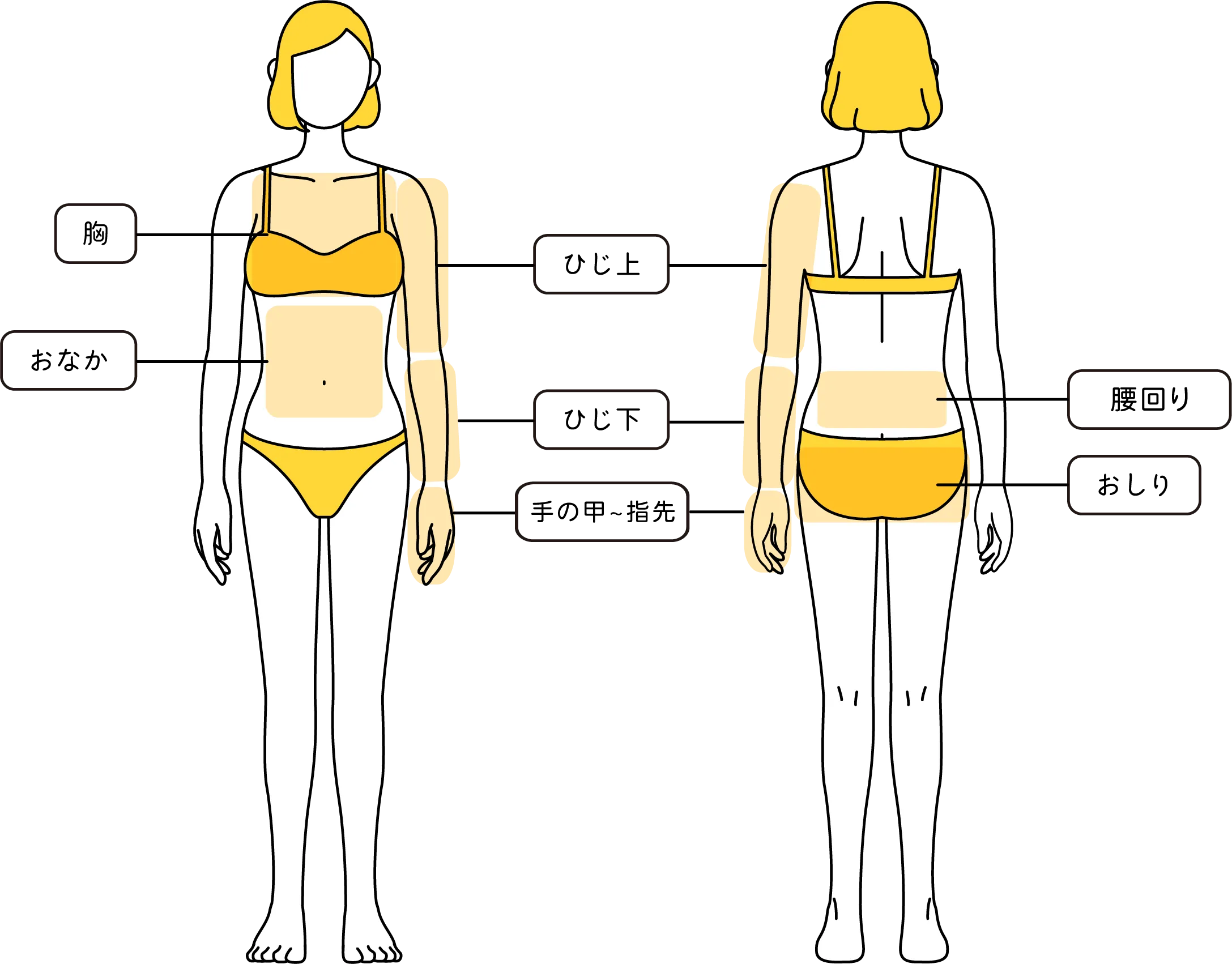 体の対象部位に色が塗られているイラスト
